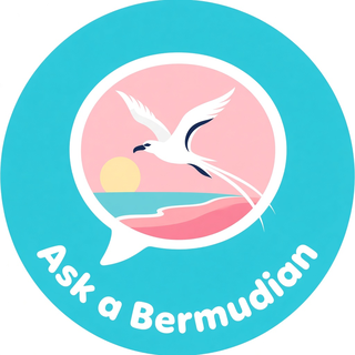 Ask a Bermudian logo